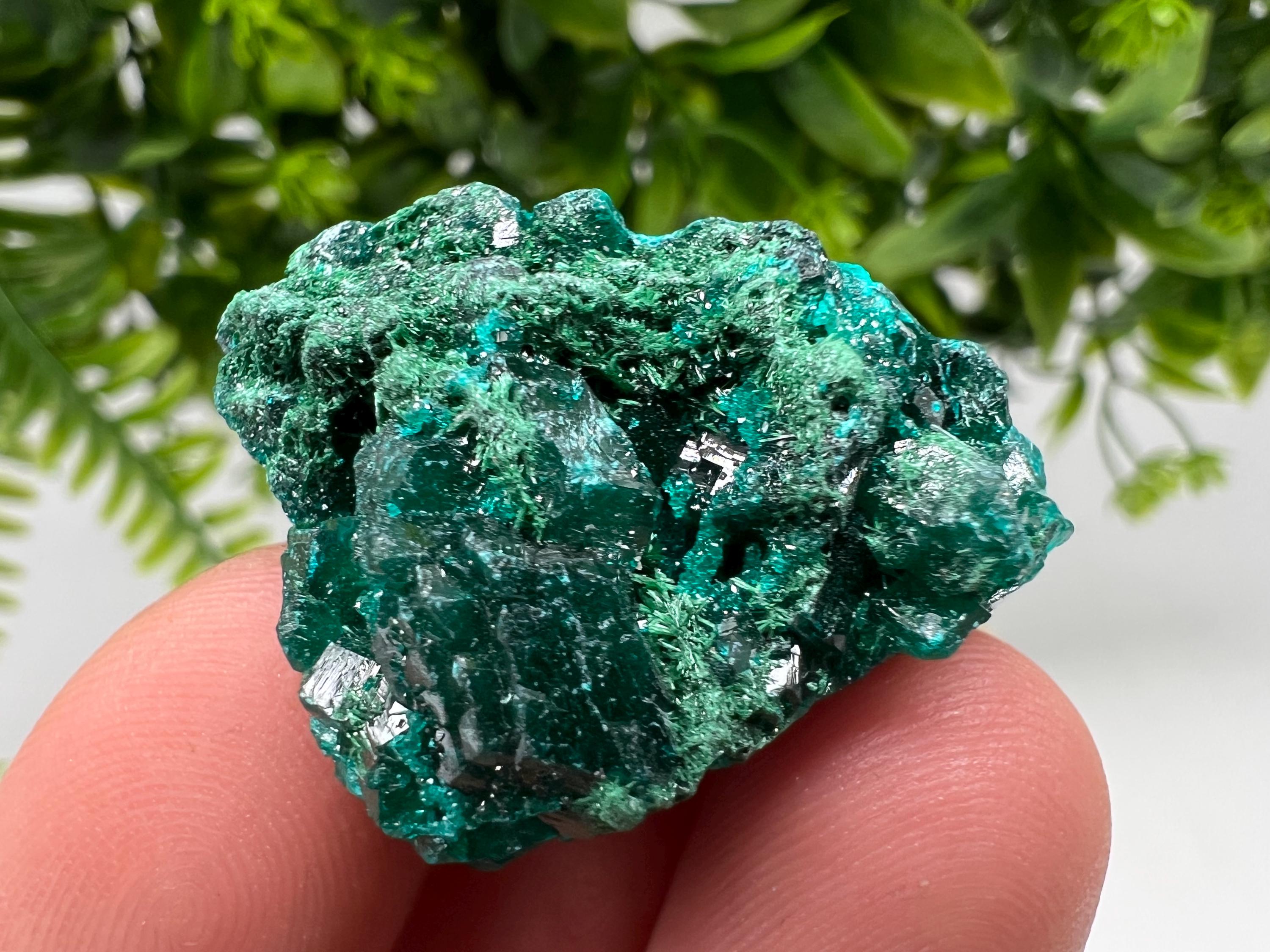 Stunning Green Dioptase from Sanda Hills,Mindouli,Pool Department,Mindouli District,Congo,green Dioptase,Dioptas Crystal,Dioptase collecting