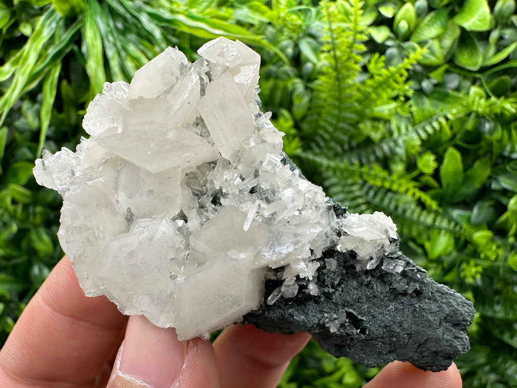 Calcite on Matrix, Borieva Mine Bulgaria, Rare Mineral Specimen