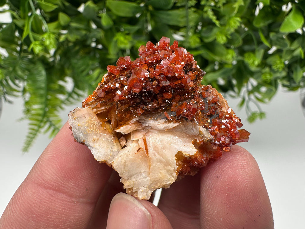 Red Vanadinite on Barite from Marocco,crystal minerals Speciment cluster Vanadinite crystal Vanadinite Geology Vanadinite cluster minerals