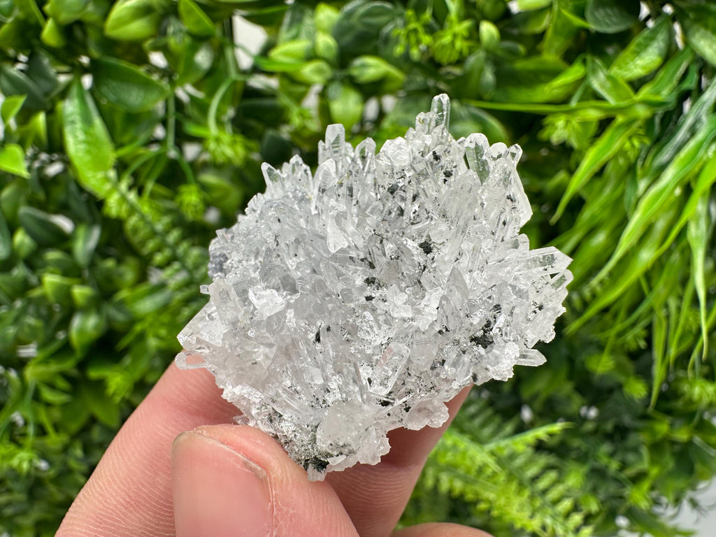 Chlorite Quartz Crystal Cluster - Borieva Mine, Bulgaria