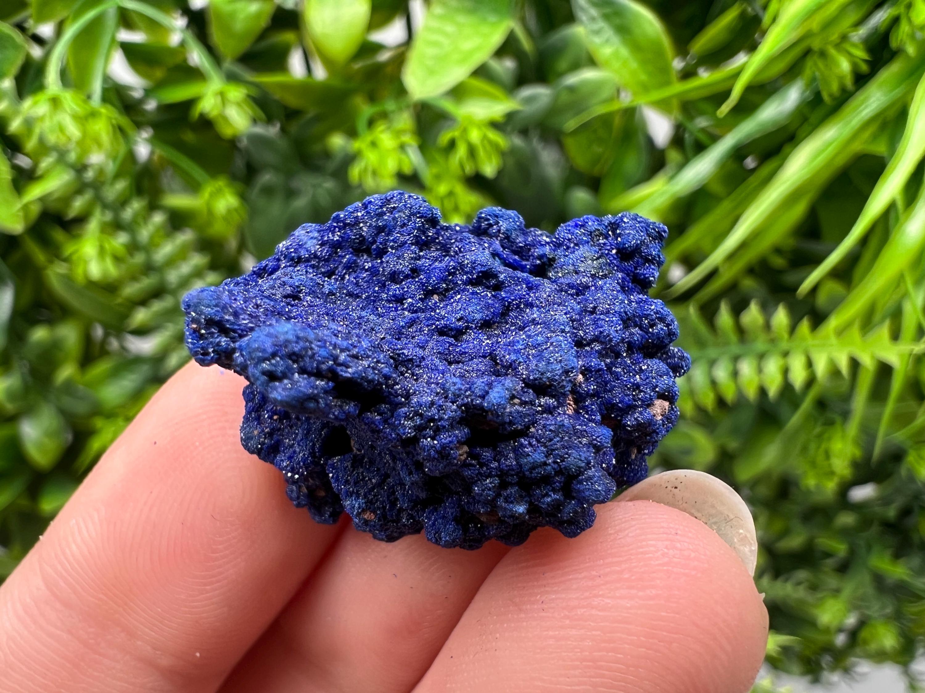 Crystallized Azurite-Kerrouchen,Morocco-Blue Azurite Specimen-High Quality Blue Azurite-Azurite Mineral Specimen, gemmy,lustrous of Azurite