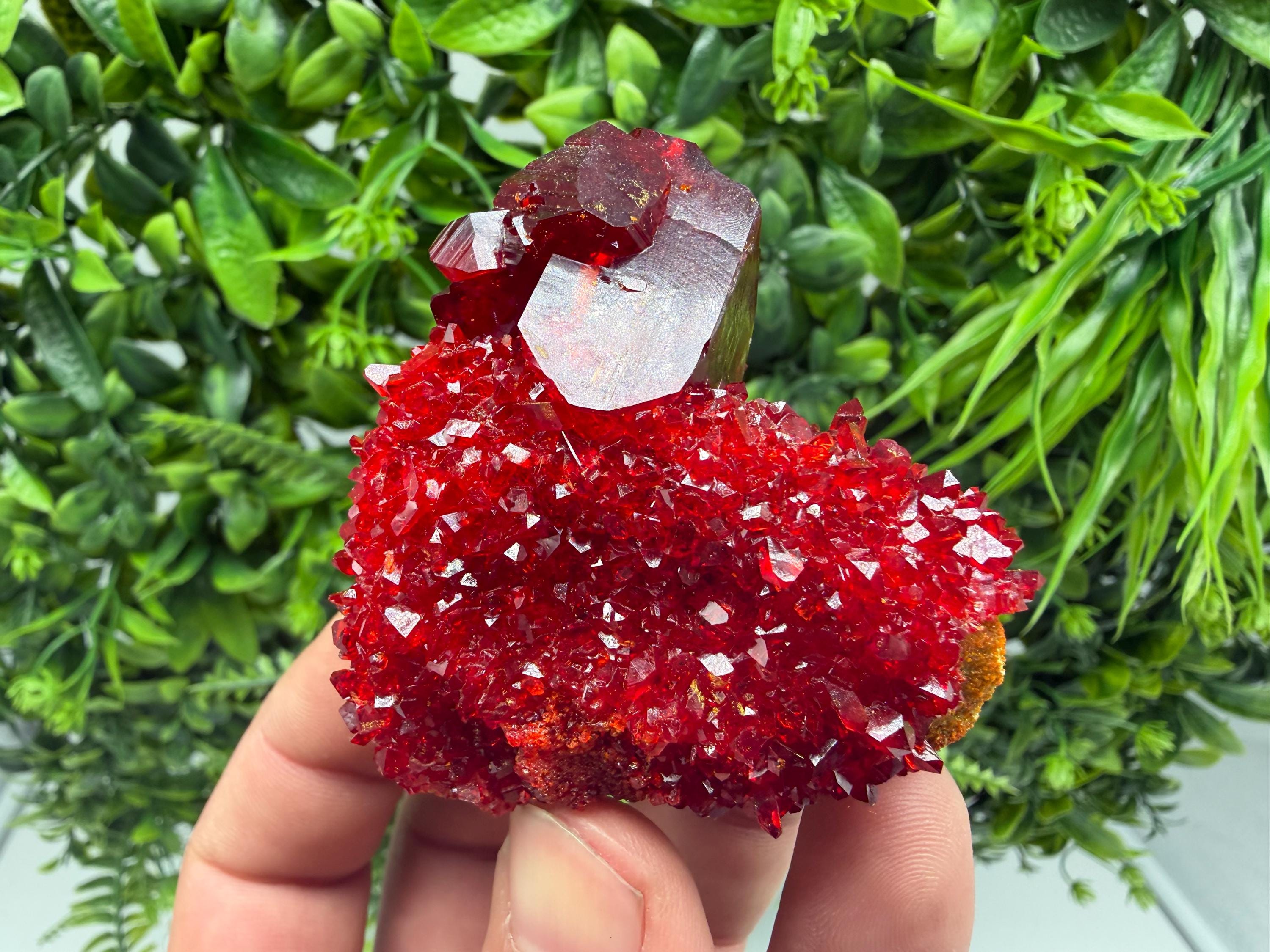 XXL Laboratory Pruskite Ruby Crystal on Matrix