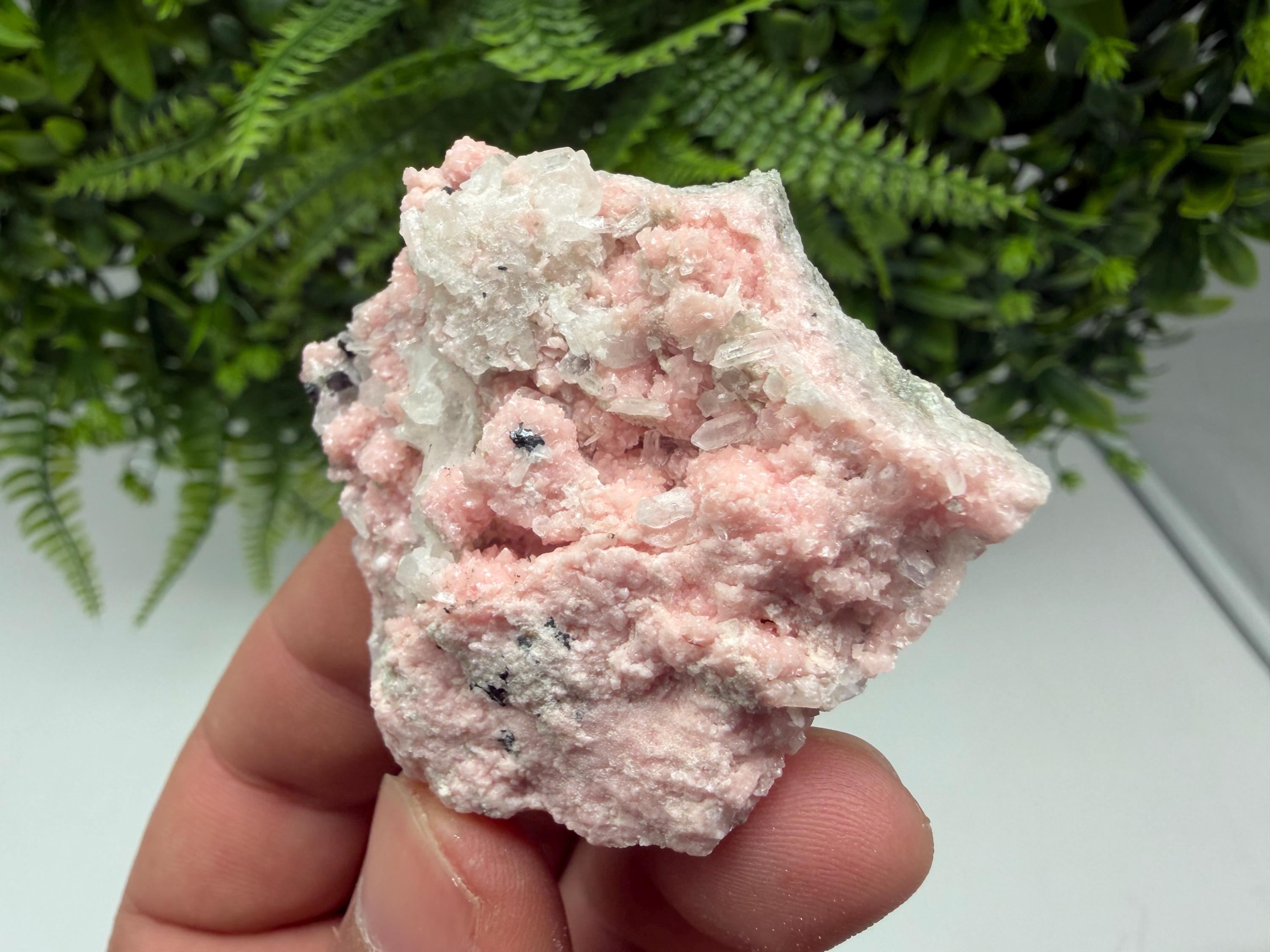 Pink Rhodochrosite Crystal, Starnica Mine, Bulgaria, Mineral Decor