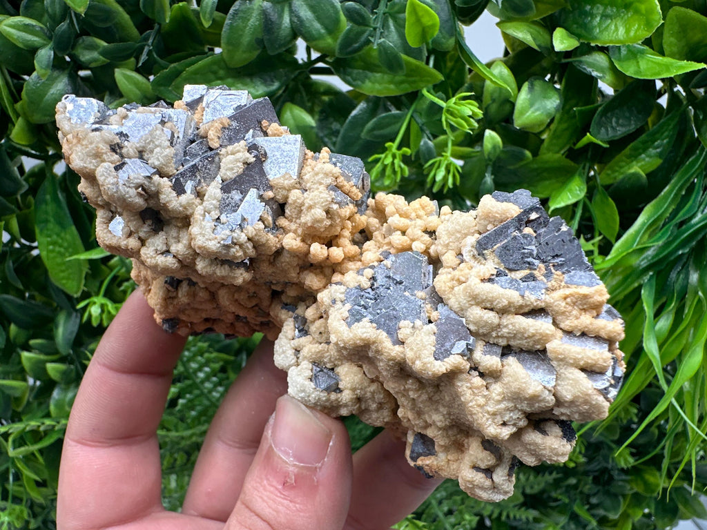 Galena Dolomite Cluster, Krushev dol Bulgaria Mineral Specimen