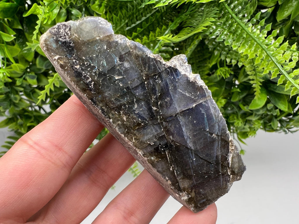 Polished Labradorite Slab: Multifire Crystal Decor - 96 Grams