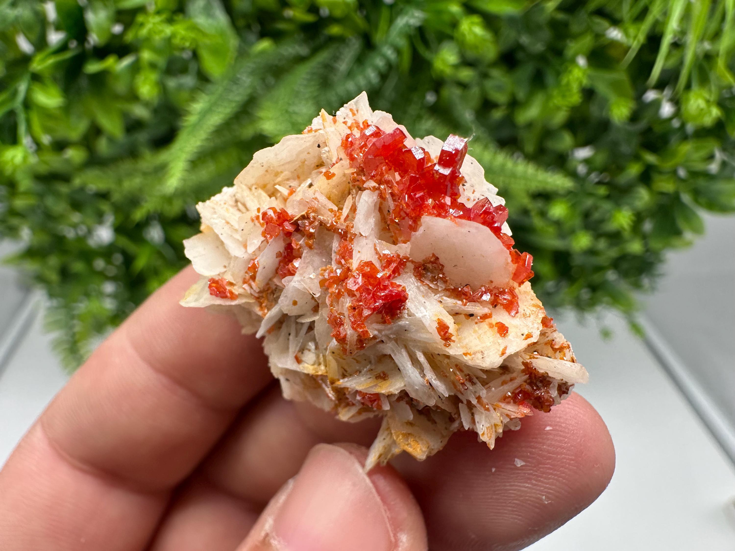 Red Vanadinite on Barite from Marocco,crystal minerals Speciment cluster Vanadinite crystal Vanadinite Geology Vanadinite cluster minerals