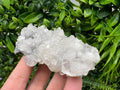 Apophyllite on Chalcedony Specimen: Transparent Crystal, India Minerals