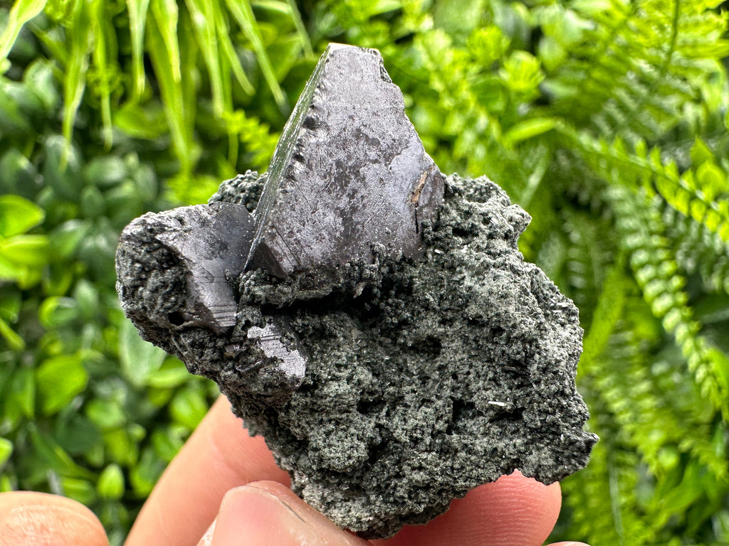Sphalerite with Chlorite, Borieva Mine, Bulgaria – Natural Mineral Specimen