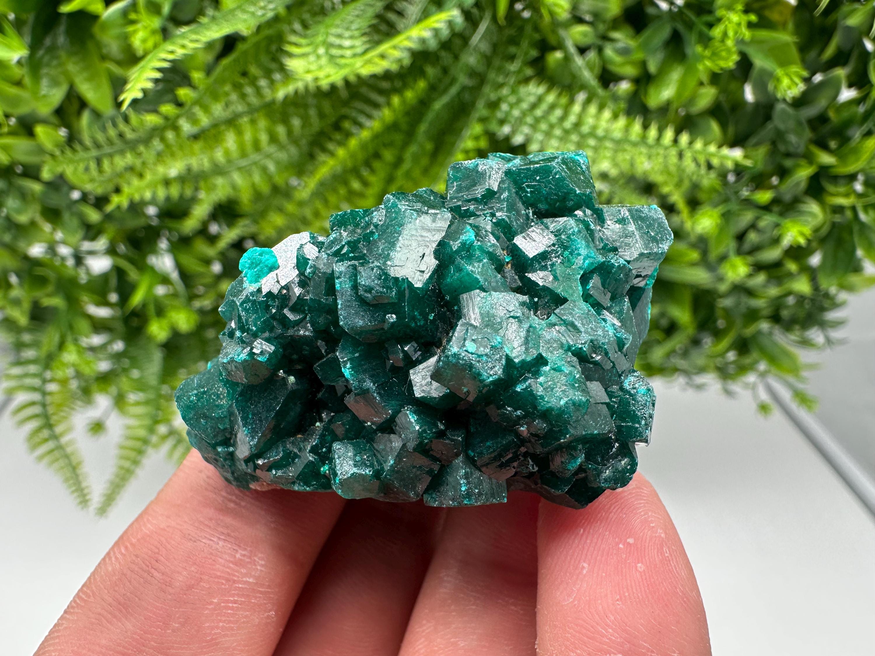 Stunning Green Dioptase from Sanda Hills,Mindouli,Pool Department,Mindouli District,Congo,green Dioptase,Dioptas Crystal,Dioptase collecting