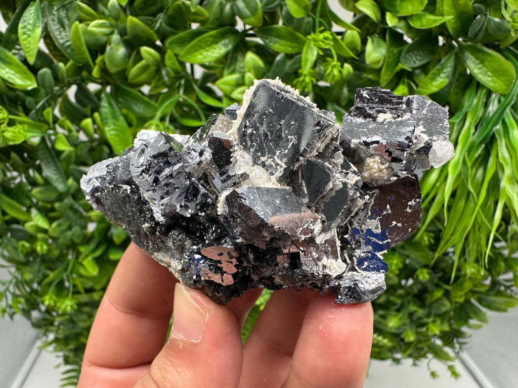 Rare Mirror Galena Cubes: Marzyan Mine, Bulgaria
