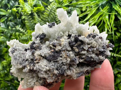 Chalcopyrite on Green Quartz: Madan Bulgaria Crystal Decor