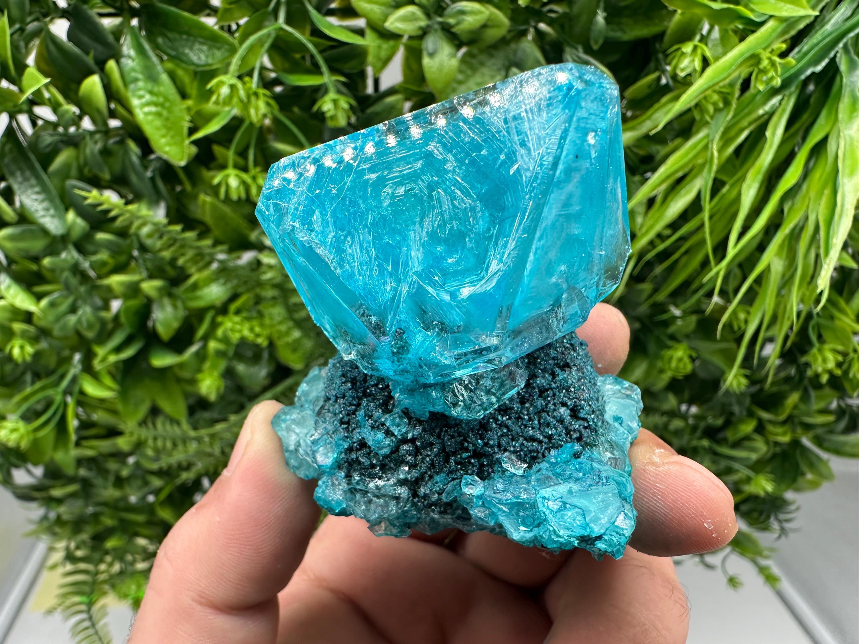 Exceptional Turquoise ALUNITE Aqua Crystal on Matrix UV Active, lab minerals