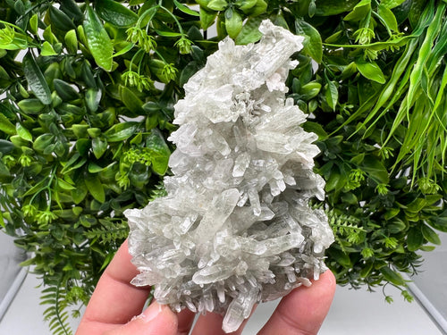 Chlorite Quartz Crystal Cluster - Borieva Mine, Bulgaria