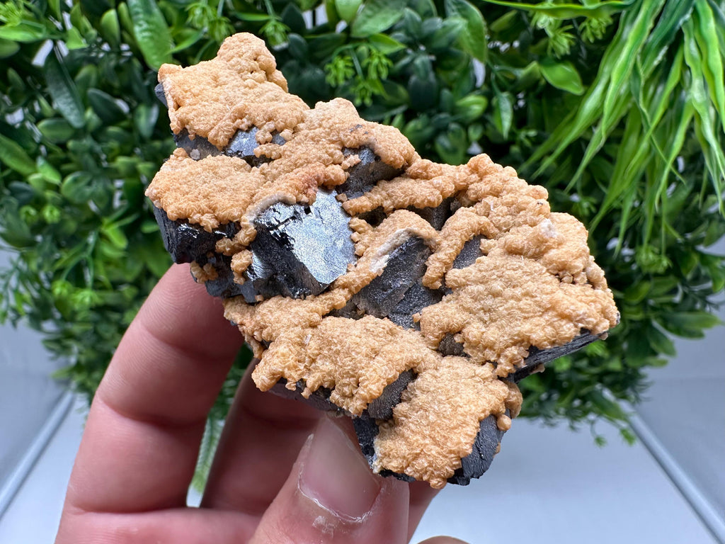 Wonderful Skeletal,Spinel law Galena whit Siderite,Sphalerite,from Krushev dol mine,Bulgaria,natural minerals,collection crystal,home decor
