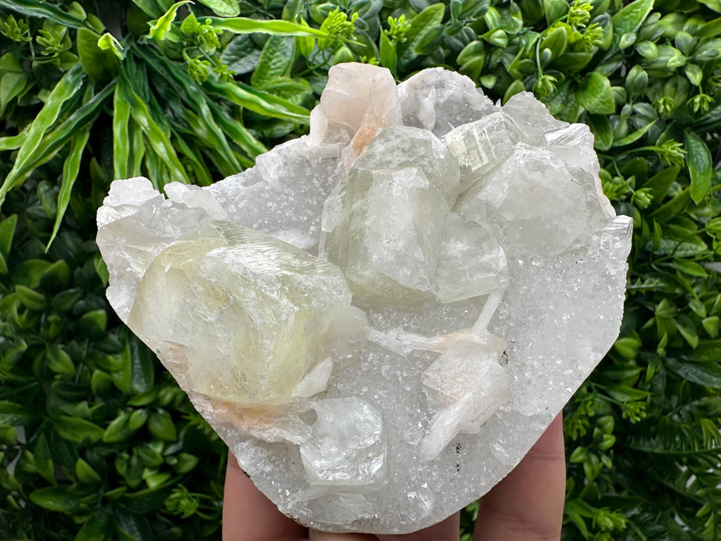 Apophyllite Stilbite on Chalcedony, India Crystal Specimen