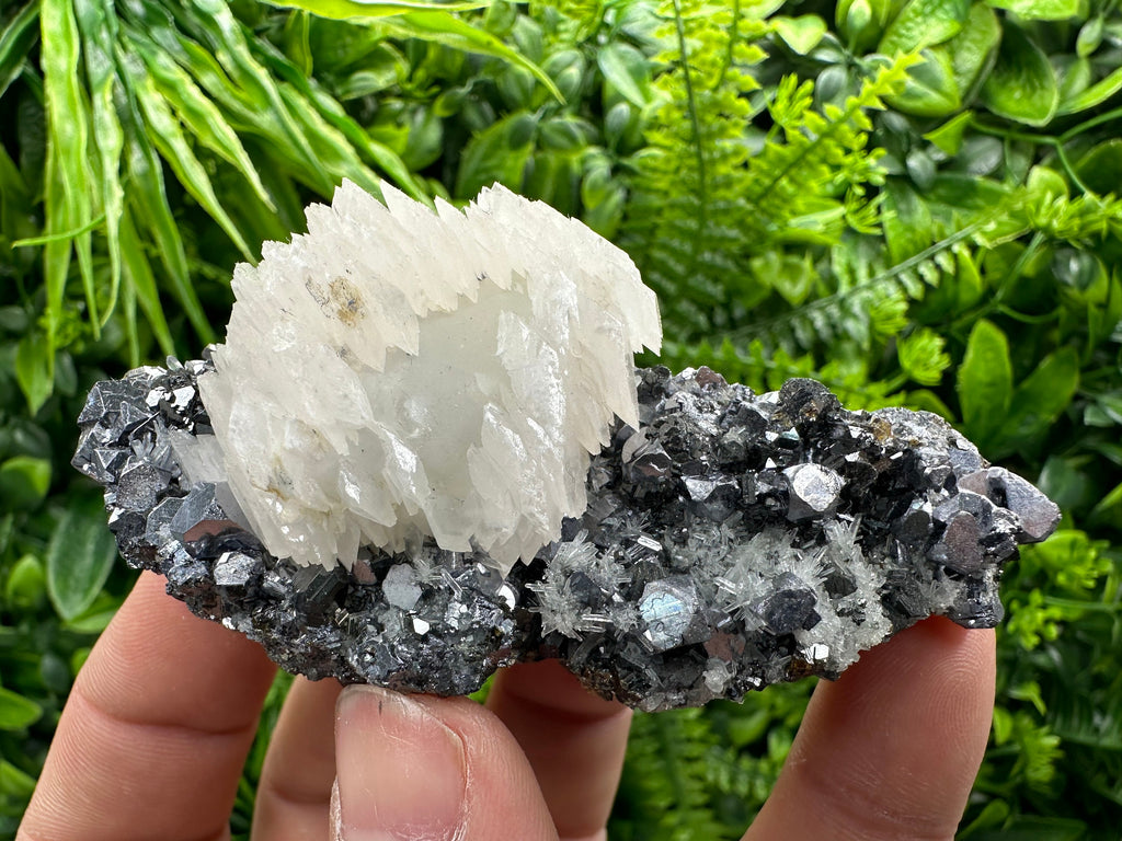 Calcite on Galena, Sphalerite & Quartz, Borieva Mine Mineral Specimen