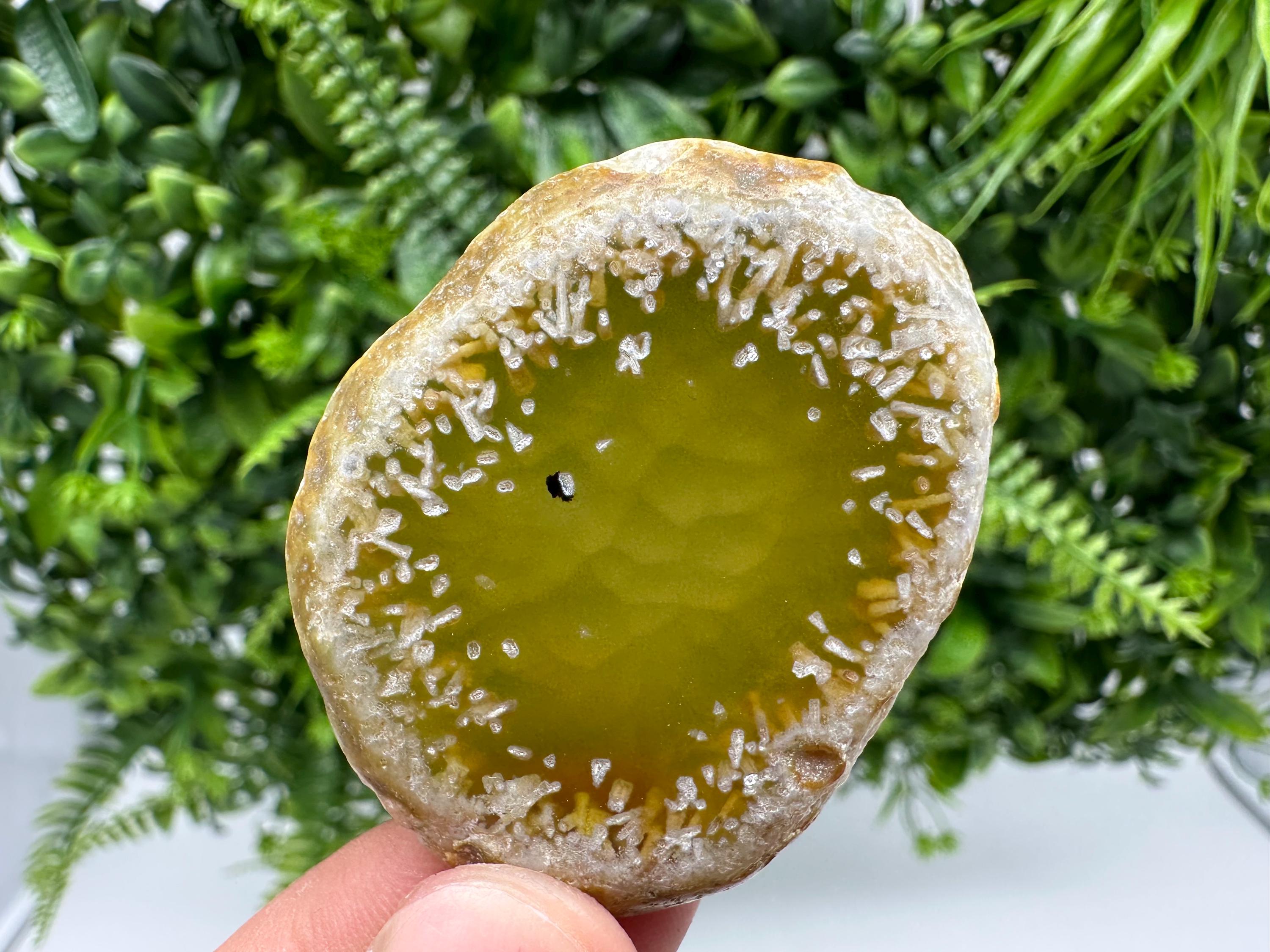 Agate Slice: Spiritual Healing Crystal Coaster Ornament