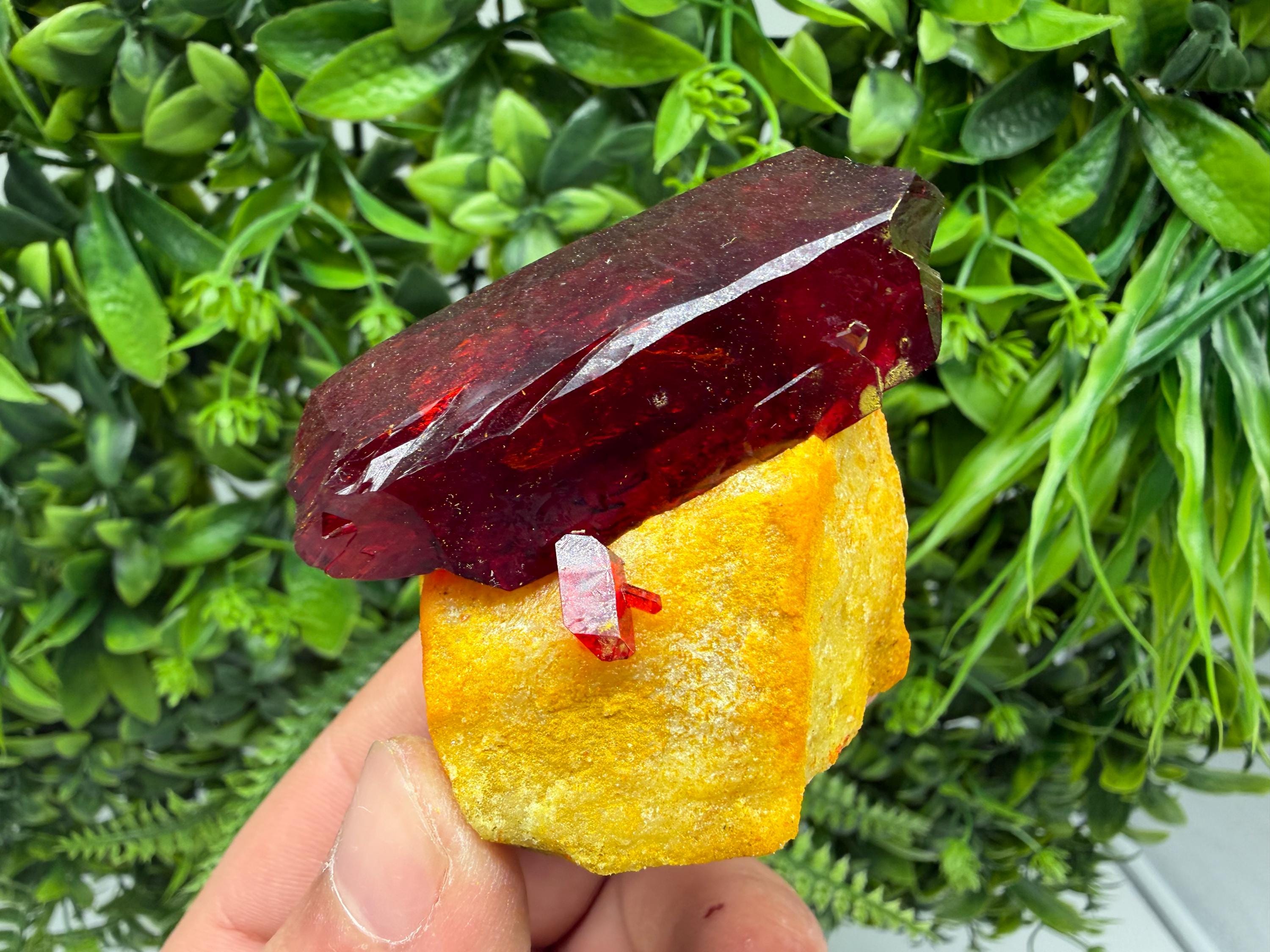 XXL Laboratory Pruskite Ruby Crystal on Matrix