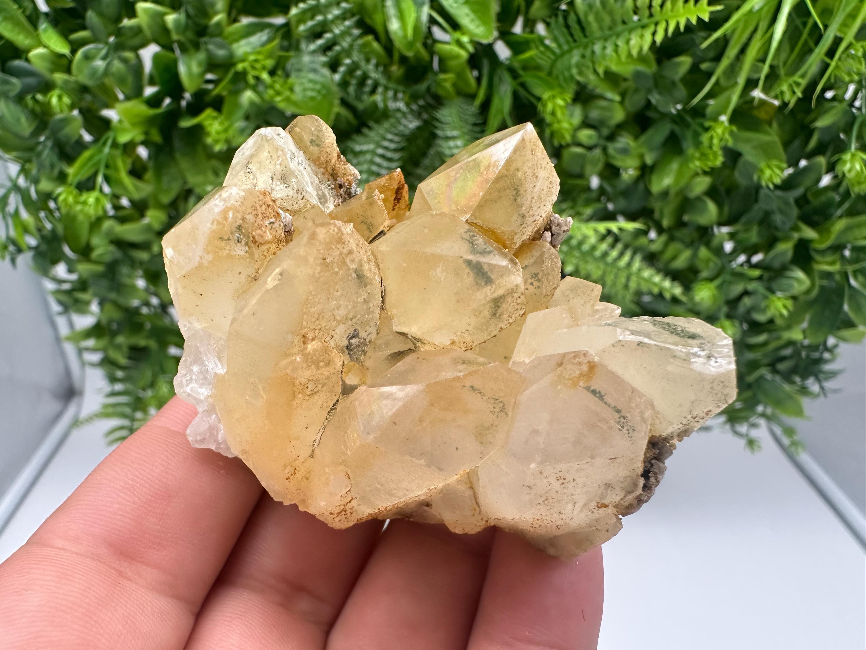 Rainbow Quartz whit Chlorite,Iron oxide inclusion from Djurcovo mine,Madan,Bulgaria,natural,collection mineral specimen,yellow Quartz,clust