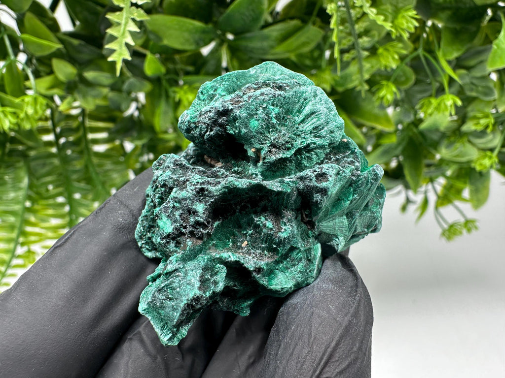 Malachite Crystal from Congo,Minerals,Crystals from Congo,Green Malachite, Malachite,Natural Malachite,Malachite Stone,Chakra, Specimens