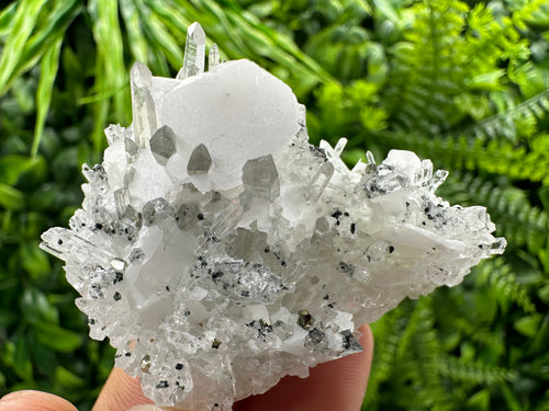 Calcite on Quartz Crystal: Borieva Mine, Bulgaria