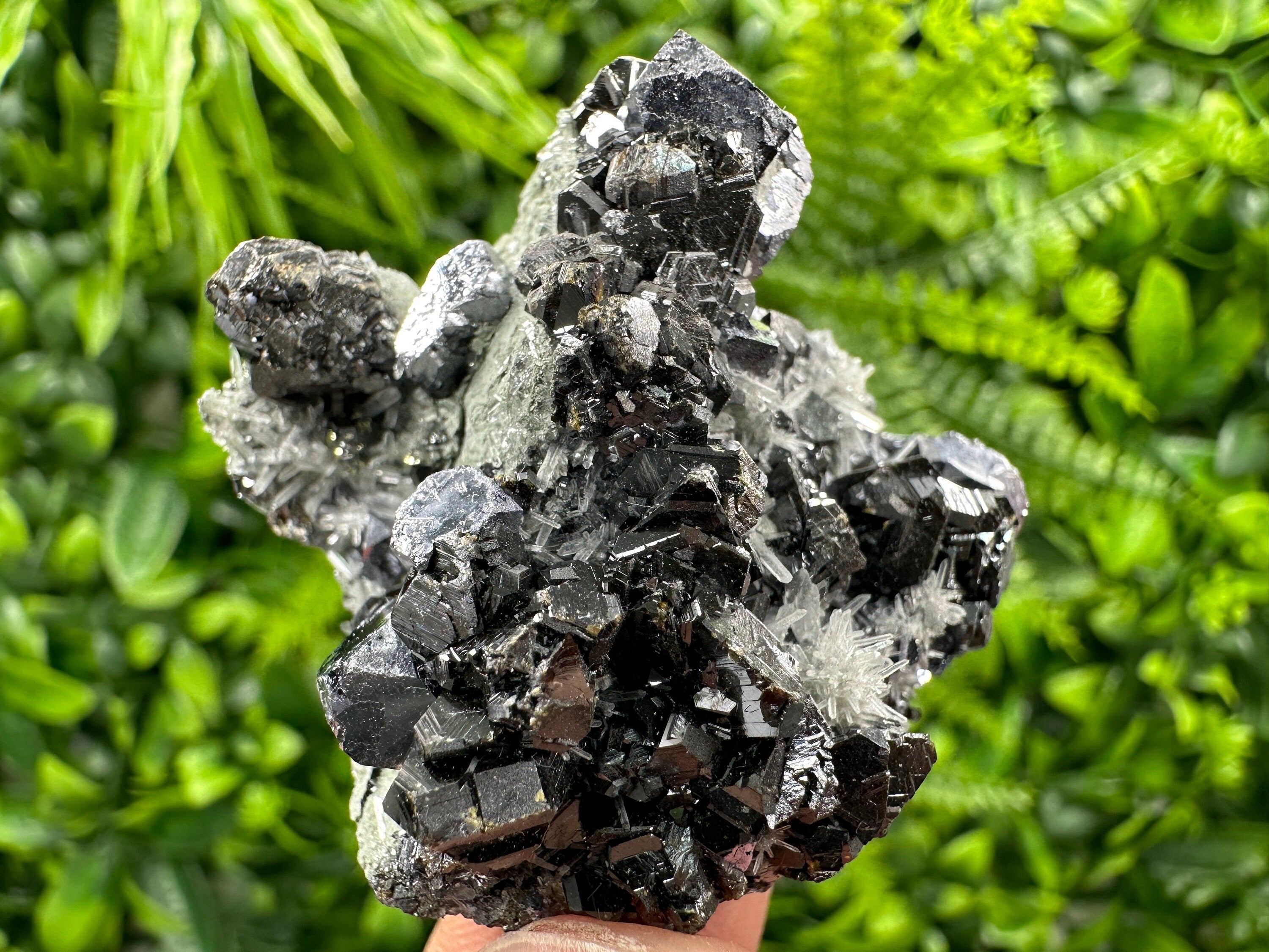 Galena Sphalerite on Needle Quartz: Borieva Mine Crystal, Bulgaria