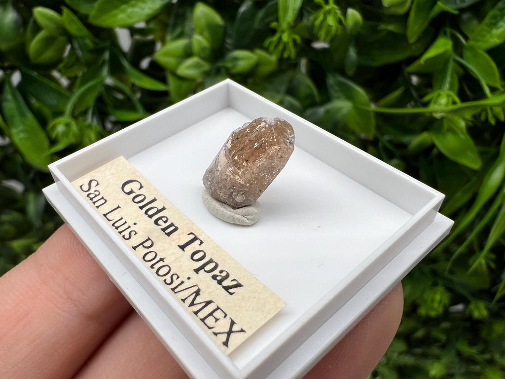 Beautiful Golden Topaz from Mexico,collection piece Crystal,Mineral,collectibles,Collectors, Natural Crystal, Minerals from Mexico,original,
