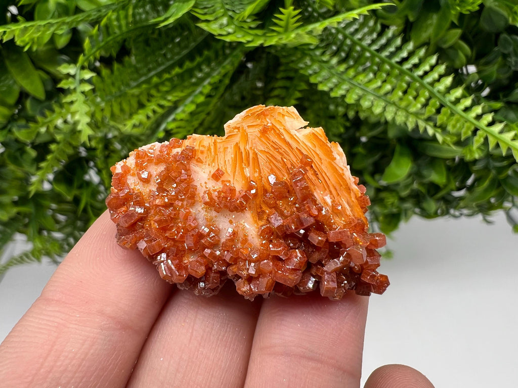 Red Vanadinite on Barite, Moroccan Crystal Mineral Specimen