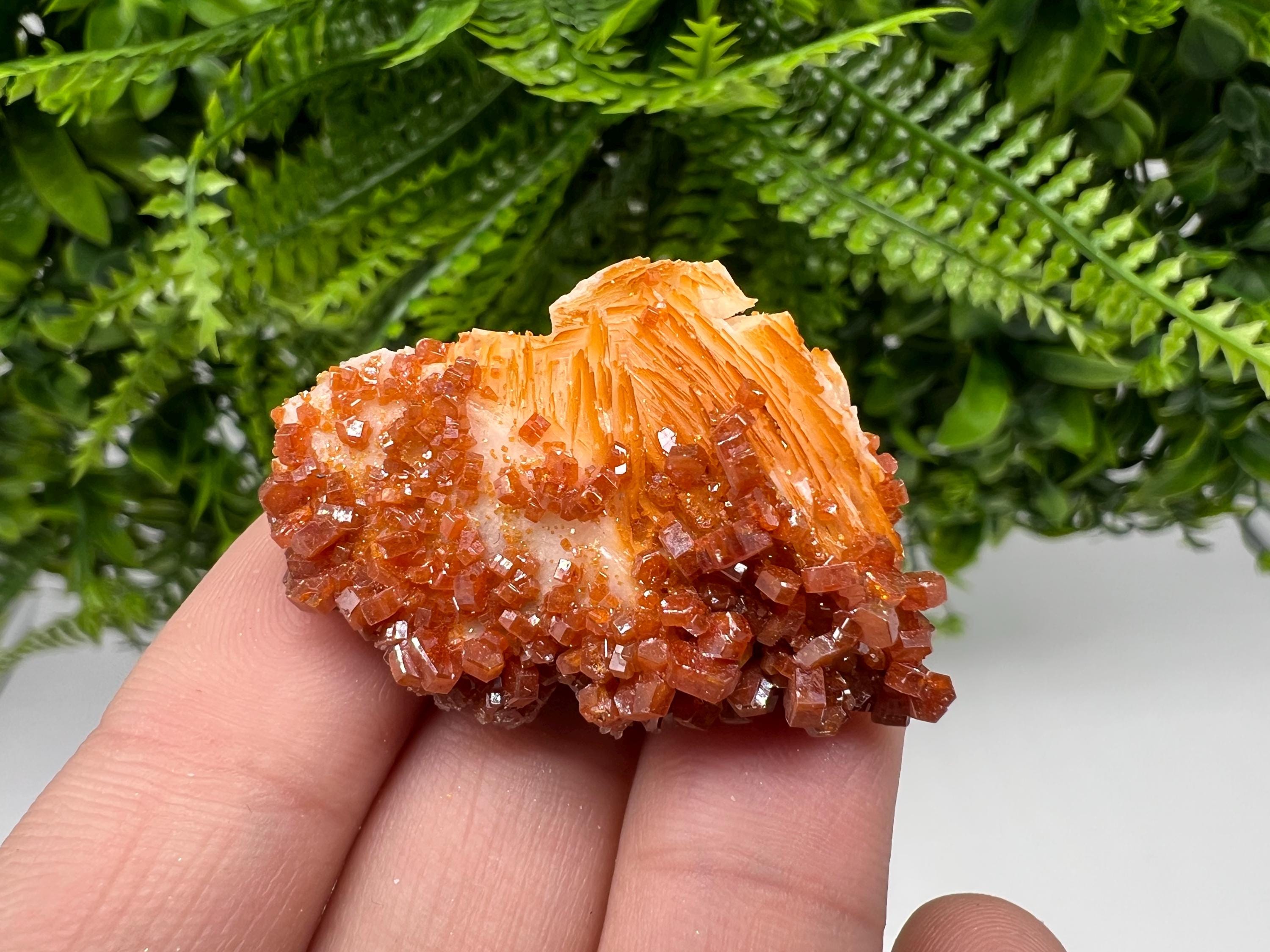 Red Vanadinite on Barite, Moroccan Crystal Mineral Specimen