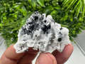 Galena Sphalerite Quartz Mineral Specimen, Krushev Dol Mine