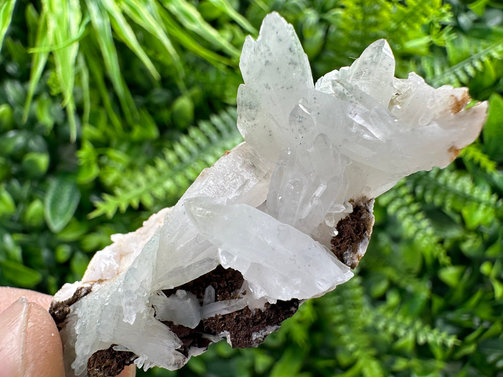 Quartz with Chlorite, Rhodochrosite, and Siderite Mineral Specimen