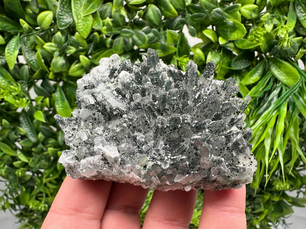 Chlorite Quartz Crystal Cluster - Borieva Mine, Bulgaria