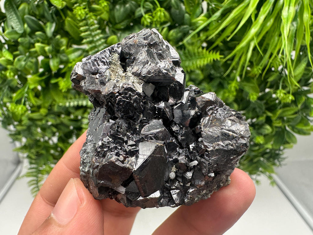 Sphalerite with Chlorite, Borieva Mine, Madan, Bulgaria