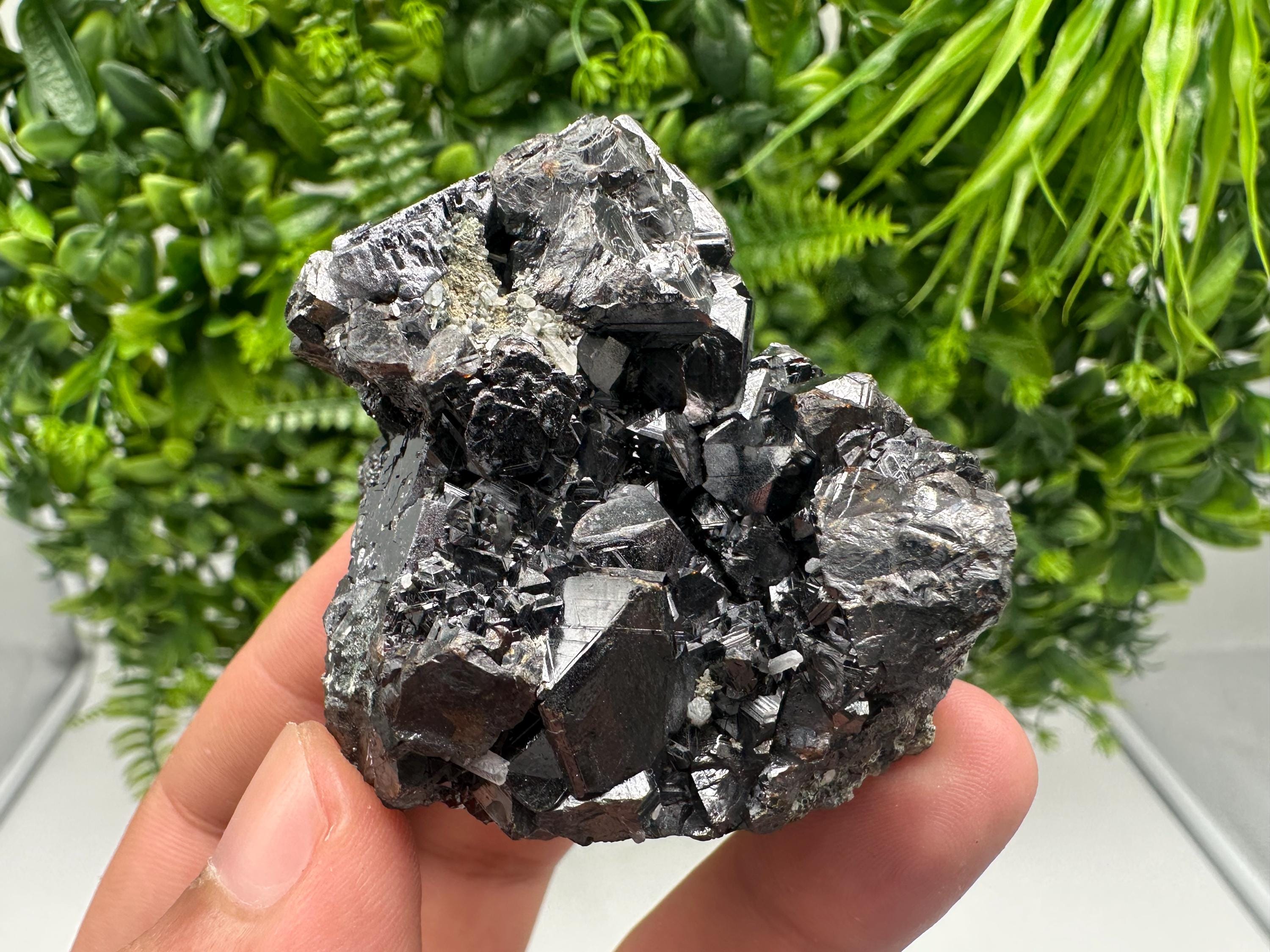 Sphalerite with Chlorite, Borieva Mine, Madan, Bulgaria
