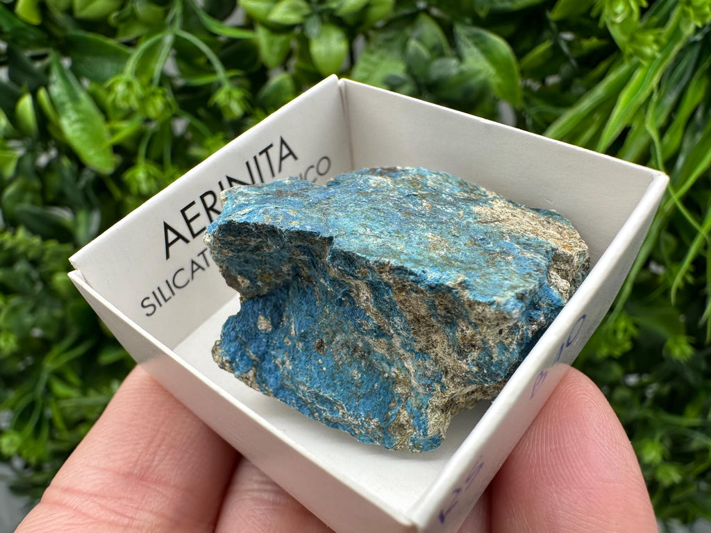 Rare Raw Aerinite Mineral Specimen: Lleida, Spain Crystal