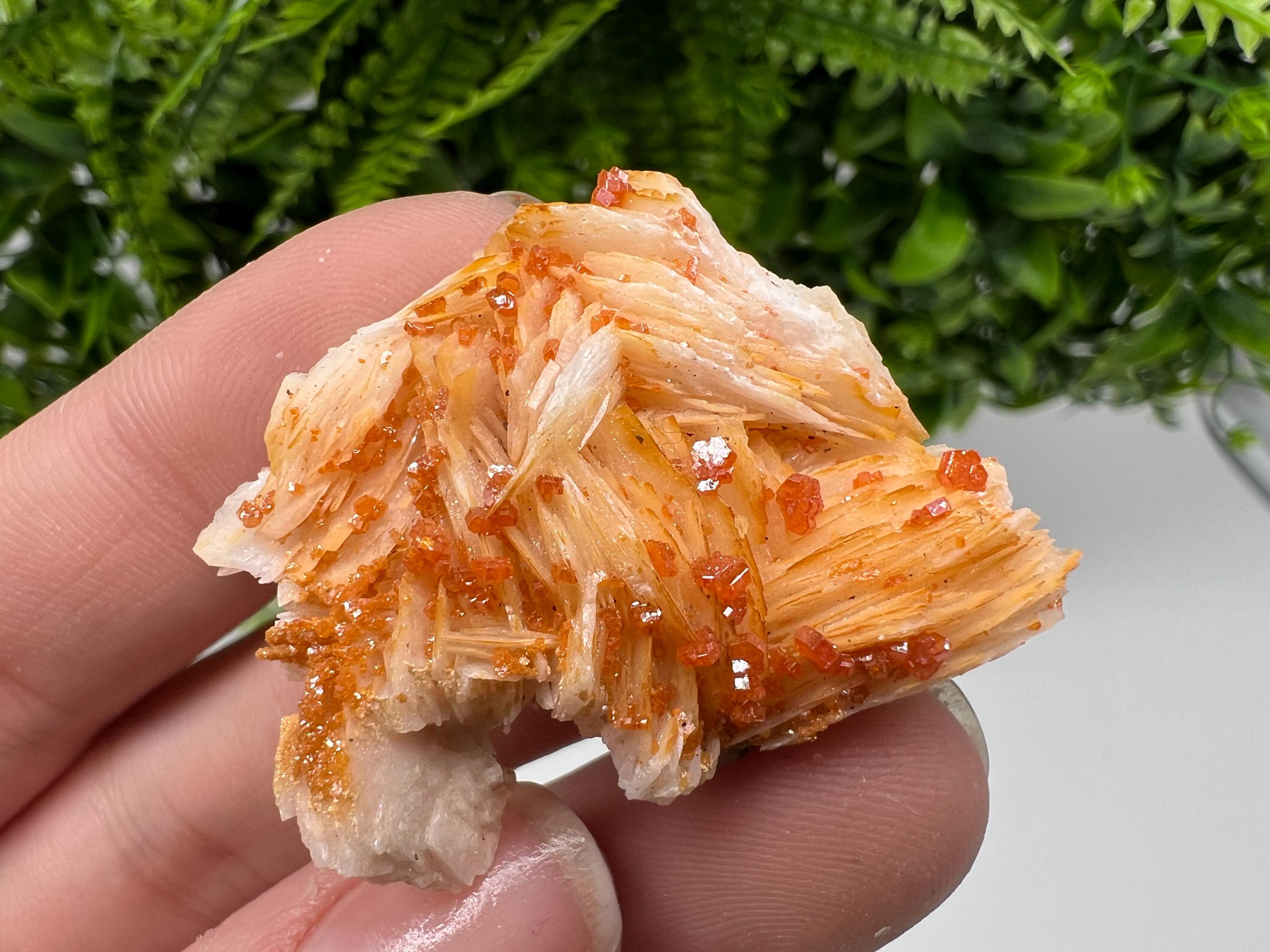 Red Vanadinite on Barite, Morocco Crystal Mineral Specimen