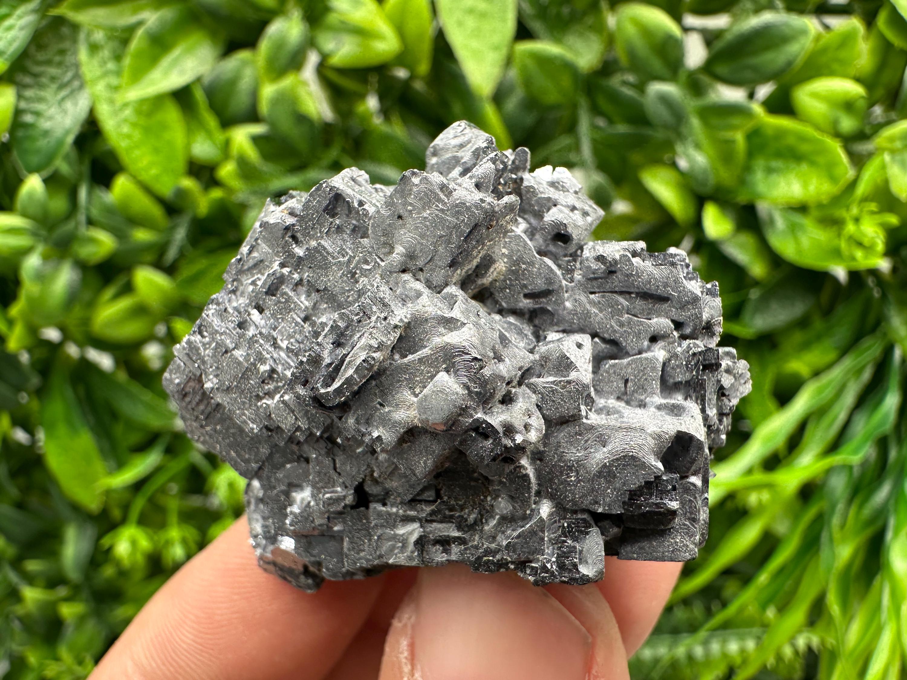 Skeletal Galena on Sphalerite: Natural Mineral Crystal Decor