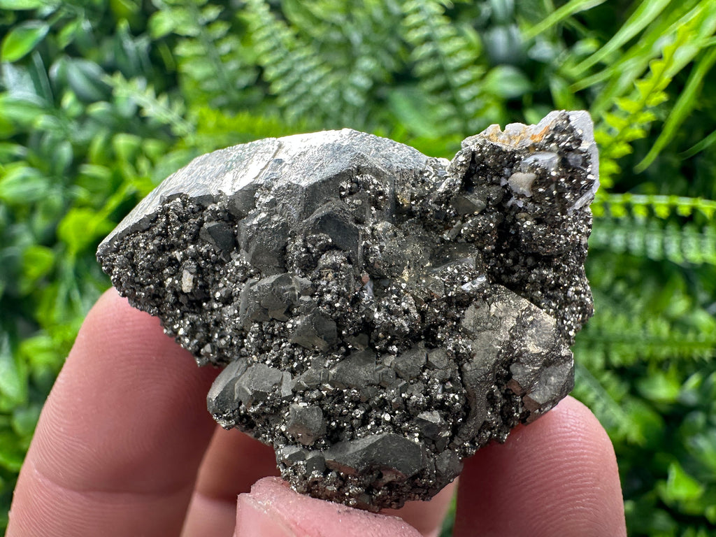 Rare Structure Pyrite (Marcazite) Mineral Specimen