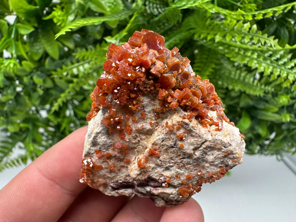 Red Vanadinite on Barite, Moroccan Crystal Specimen