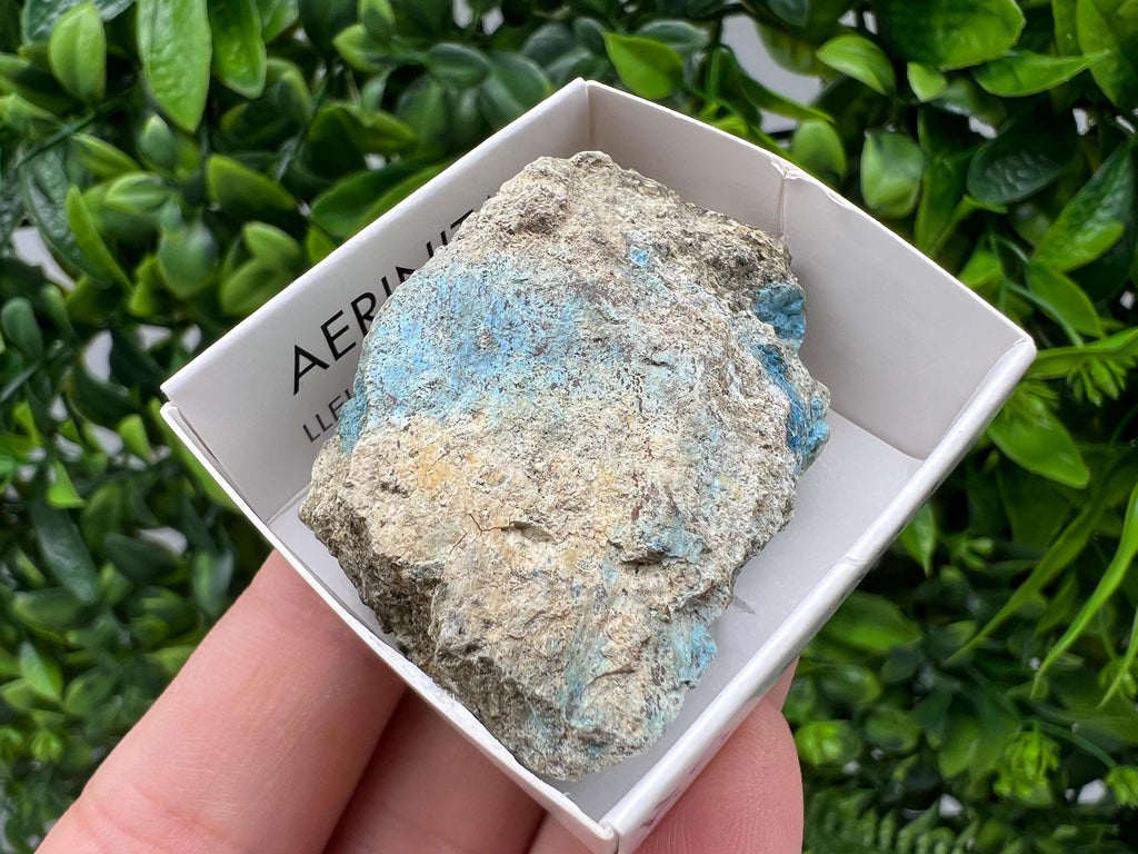 Rare Raw Aerinite Mineral Specimen: Lleida, Spain (4.5/3.5 CM)