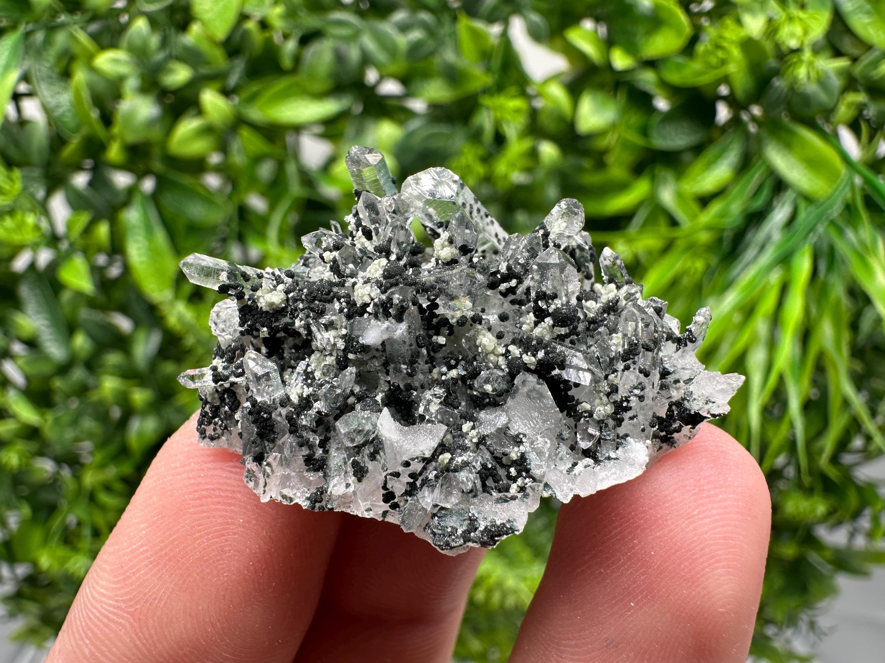 Chlorite Quartz Mineral Specimen, Borieva Mine, Bulgaria