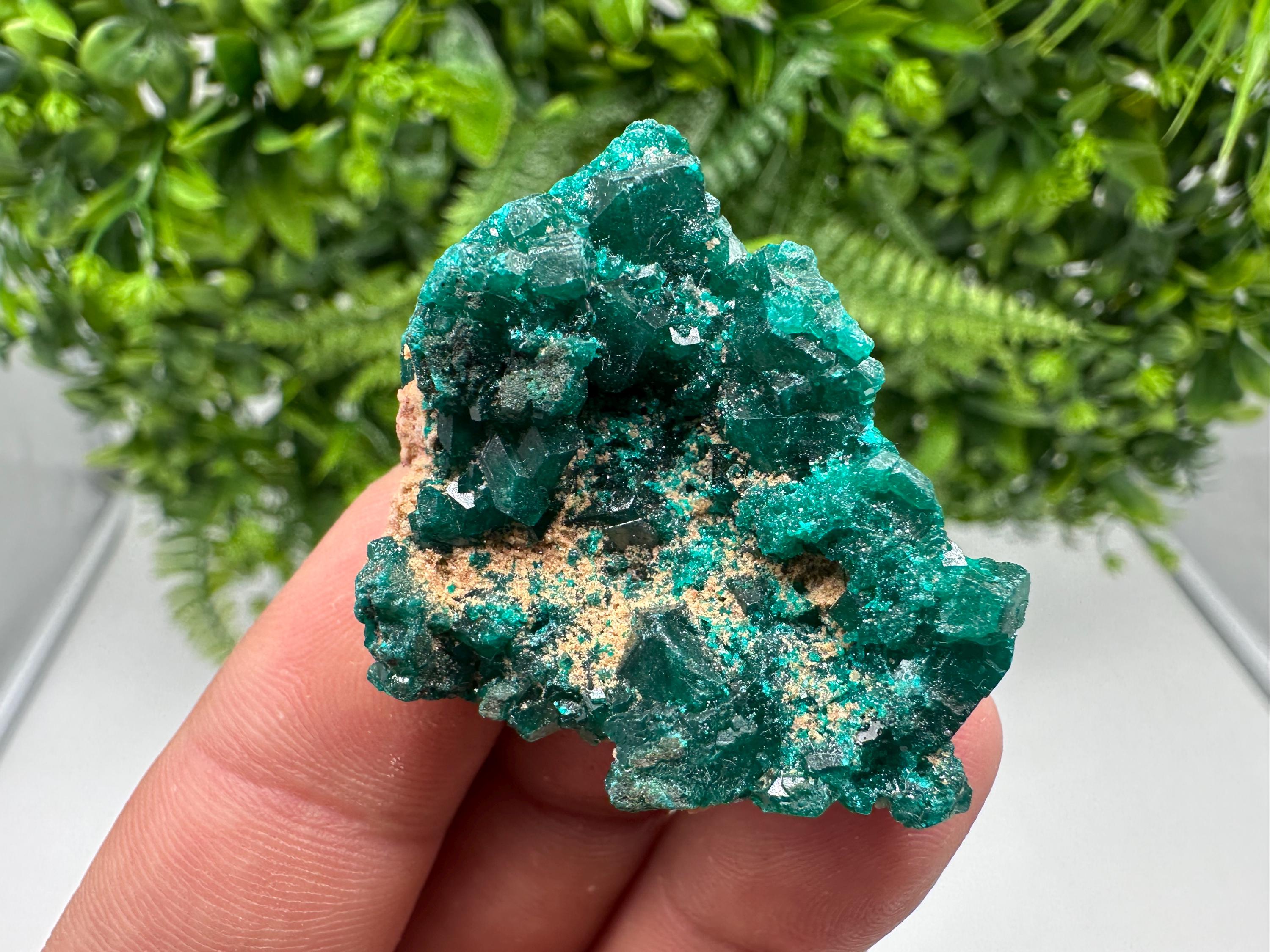 Stunning Green Dioptase from Sanda Hills,Mindouli,Pool Department,Mindouli District,Congo,green Dioptase,Dioptas Crystal,Dioptase collecting