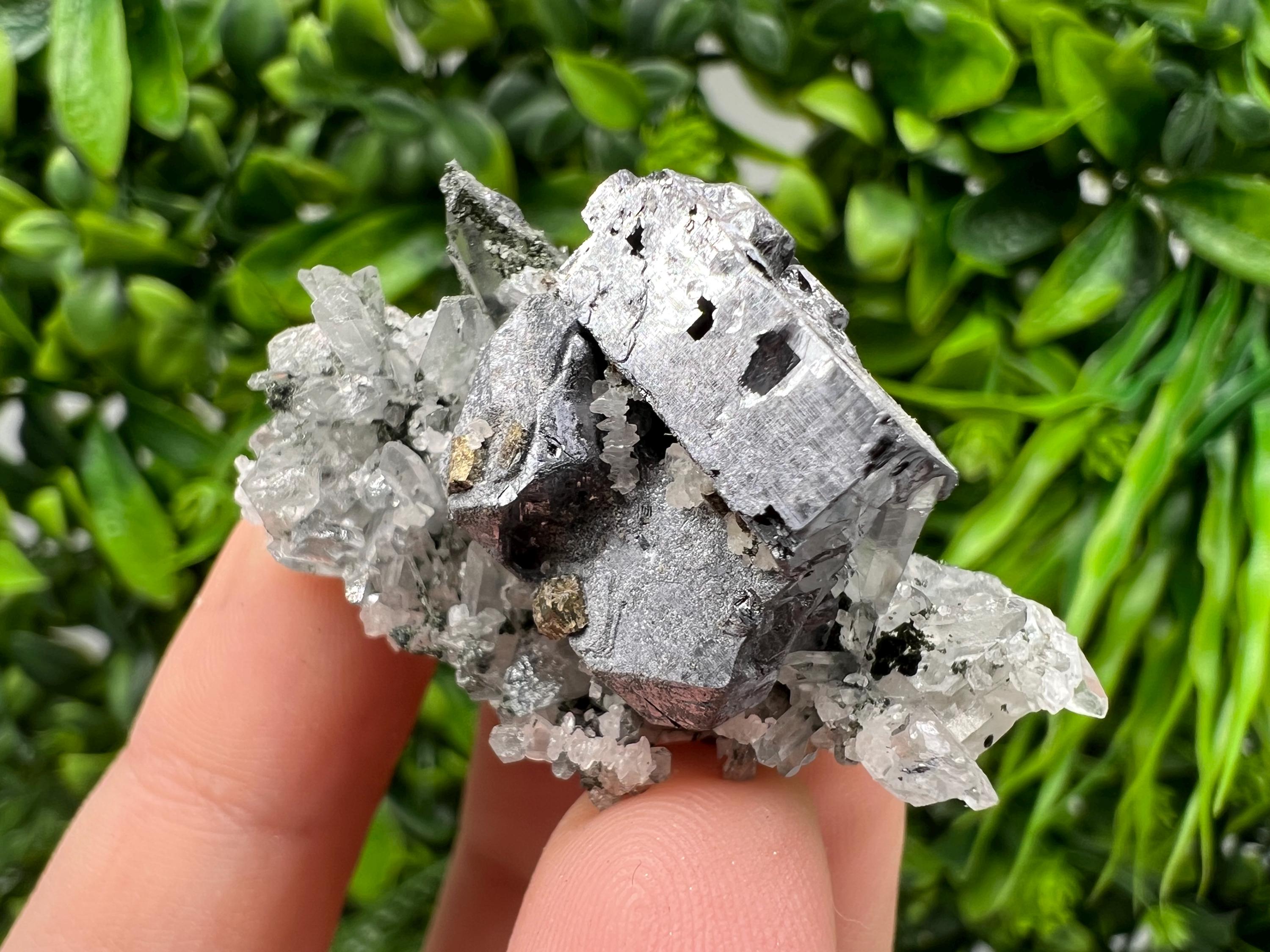 Galena Pyrite Quartz Specimen, Borieva Mine, Bulgaria