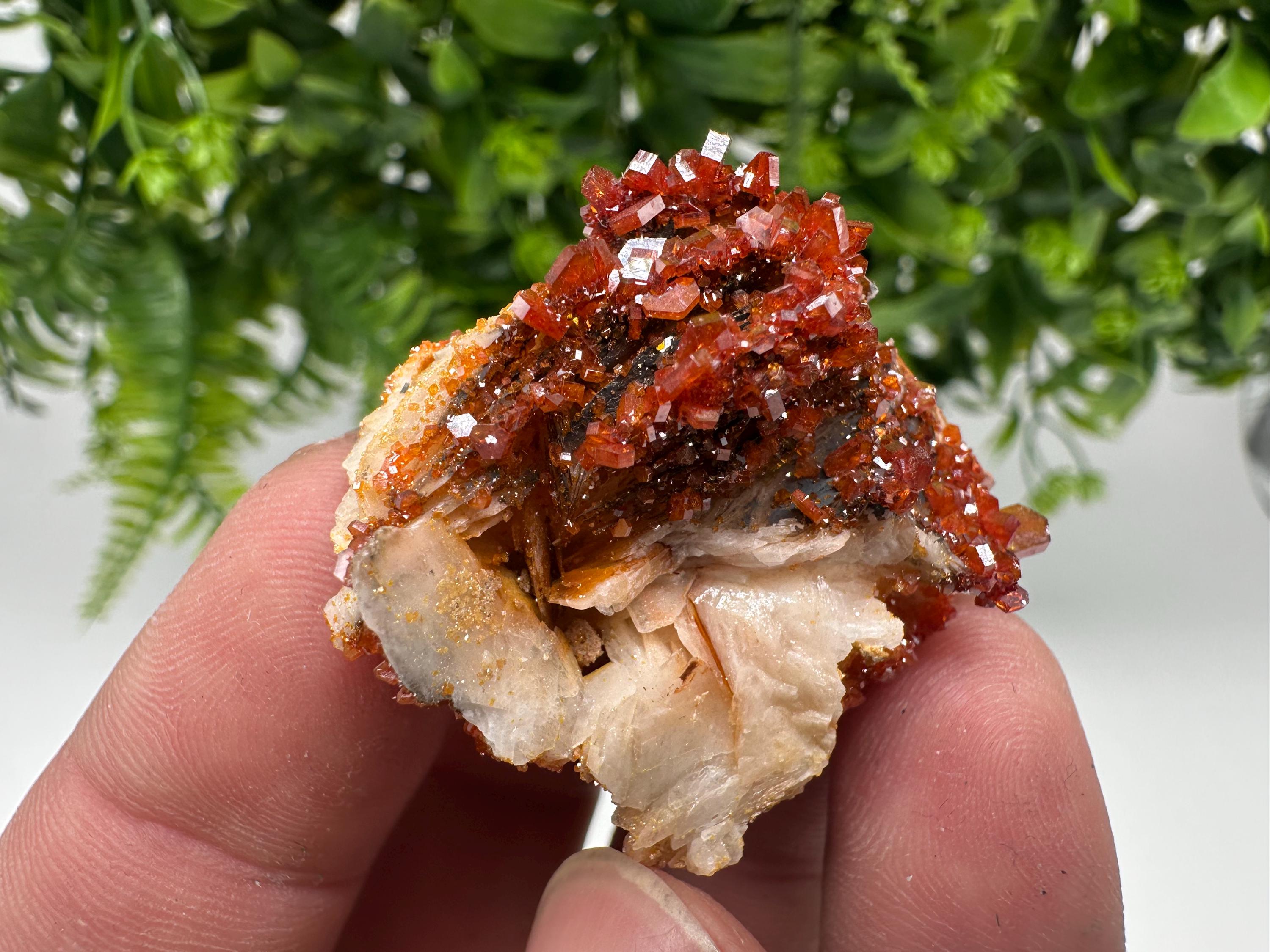 Red Vanadinite on Barite from Marocco,crystal minerals Speciment cluster Vanadinite crystal Vanadinite Geology Vanadinite cluster minerals