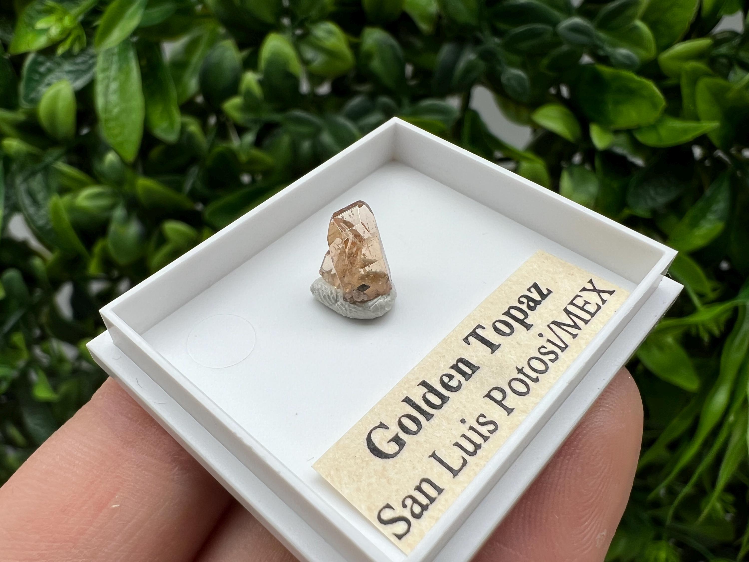 Golden Topaz Crystal, Mexico Mineral Specimen, Collectible