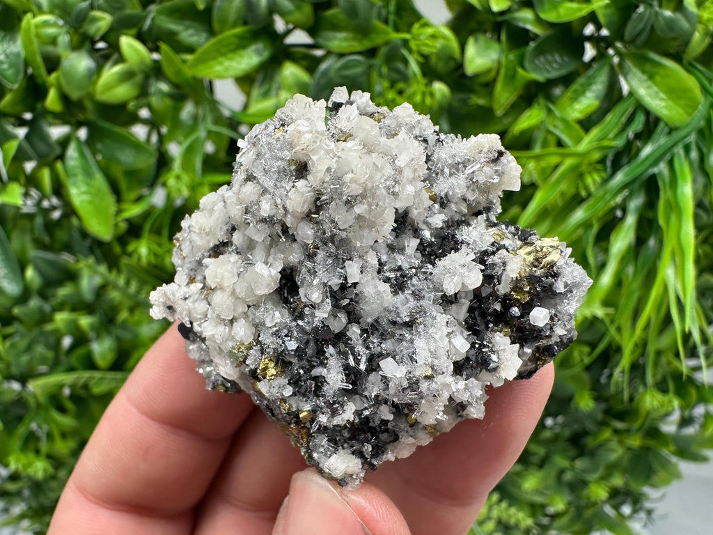 Wonderful Chalcopyrite Galena on Quartz whit Chlorite natural minerals souvenir crystal gift home decor stone Borieva mine Madan Bulgaria
