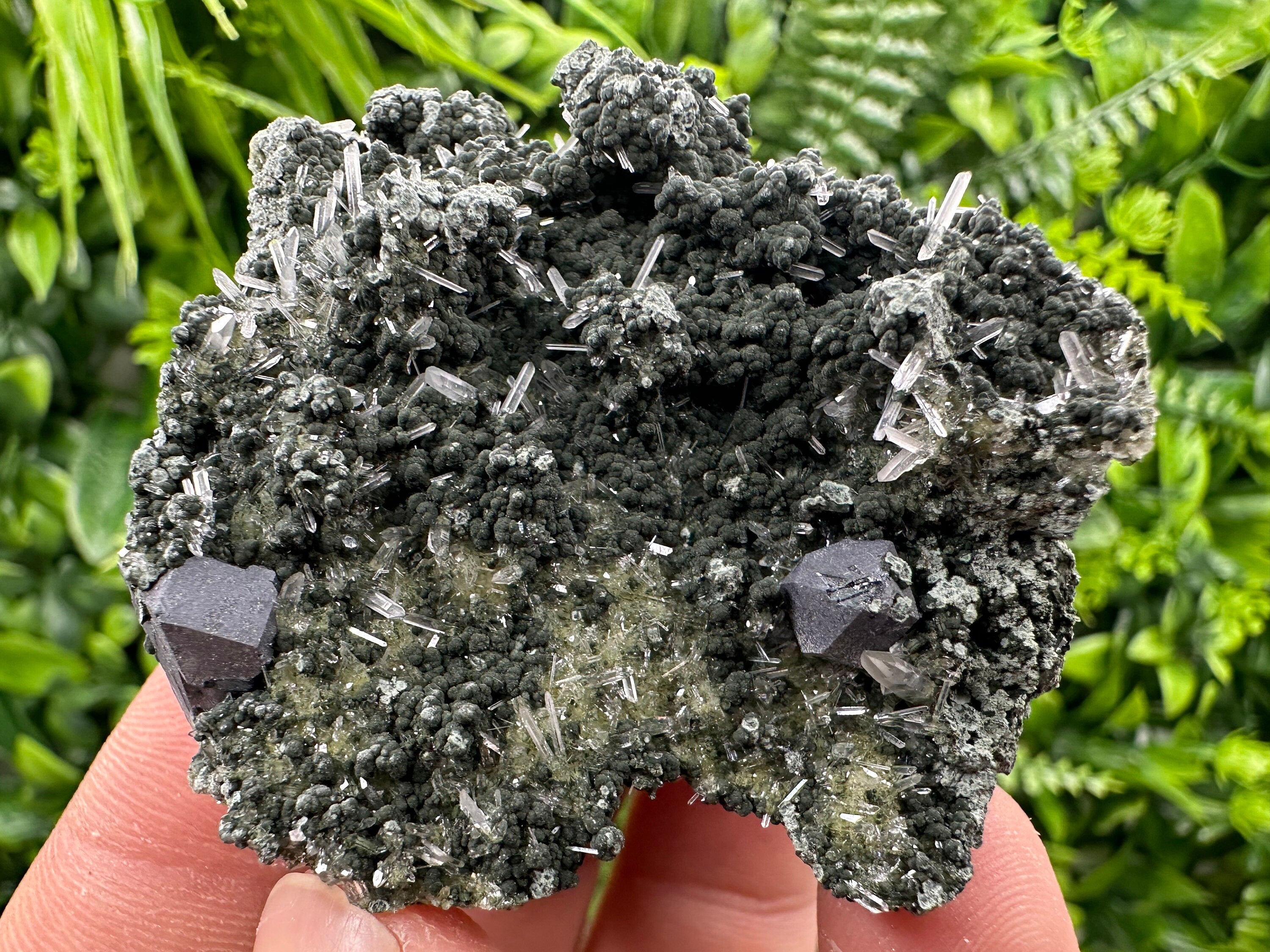 Galena on Green Quartz Crystal, Borieva Mine, Bulgaria