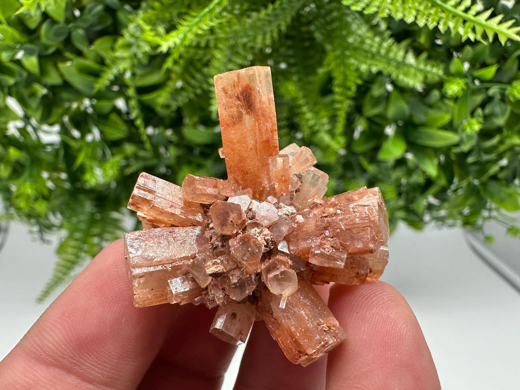 Moroccan Aragonite Sputnik Crystal Cluster: Raw Stone Decor