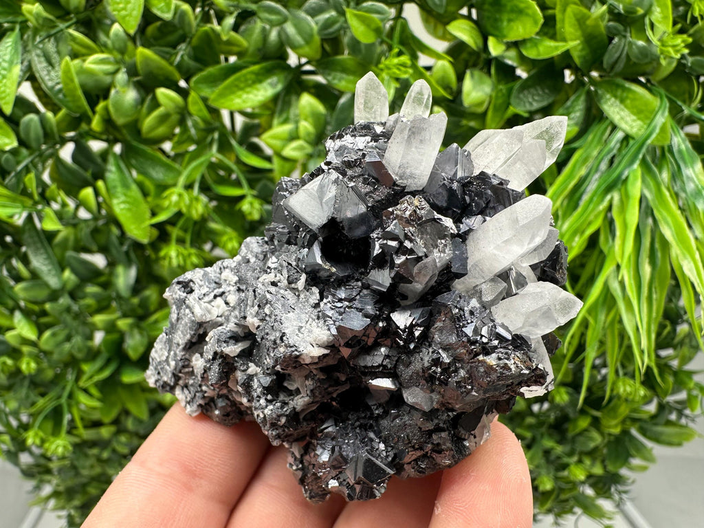 Wonderful Sphalerite Chalcopyrite on  Quartz whit Galena feom 9 th September mine,Bulgaria,natural,collection mineral specimen,gift