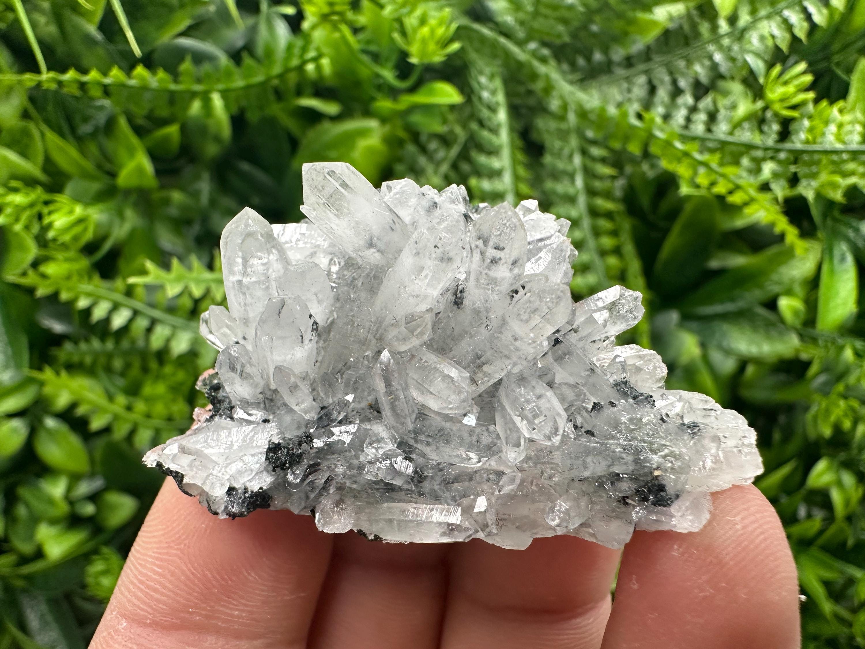 Transparent Quartz Cluster, Borieva Mine, Rare Crystal Specimen